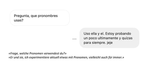 Chatverlauf auf Spanisch