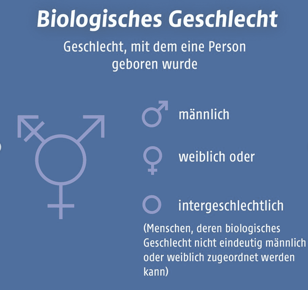 Darstellung biologisches Geschlecht