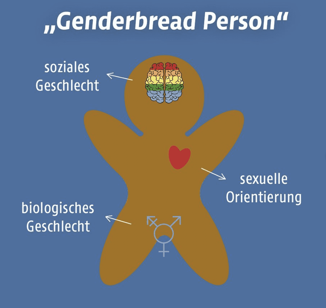 Genderbread person
