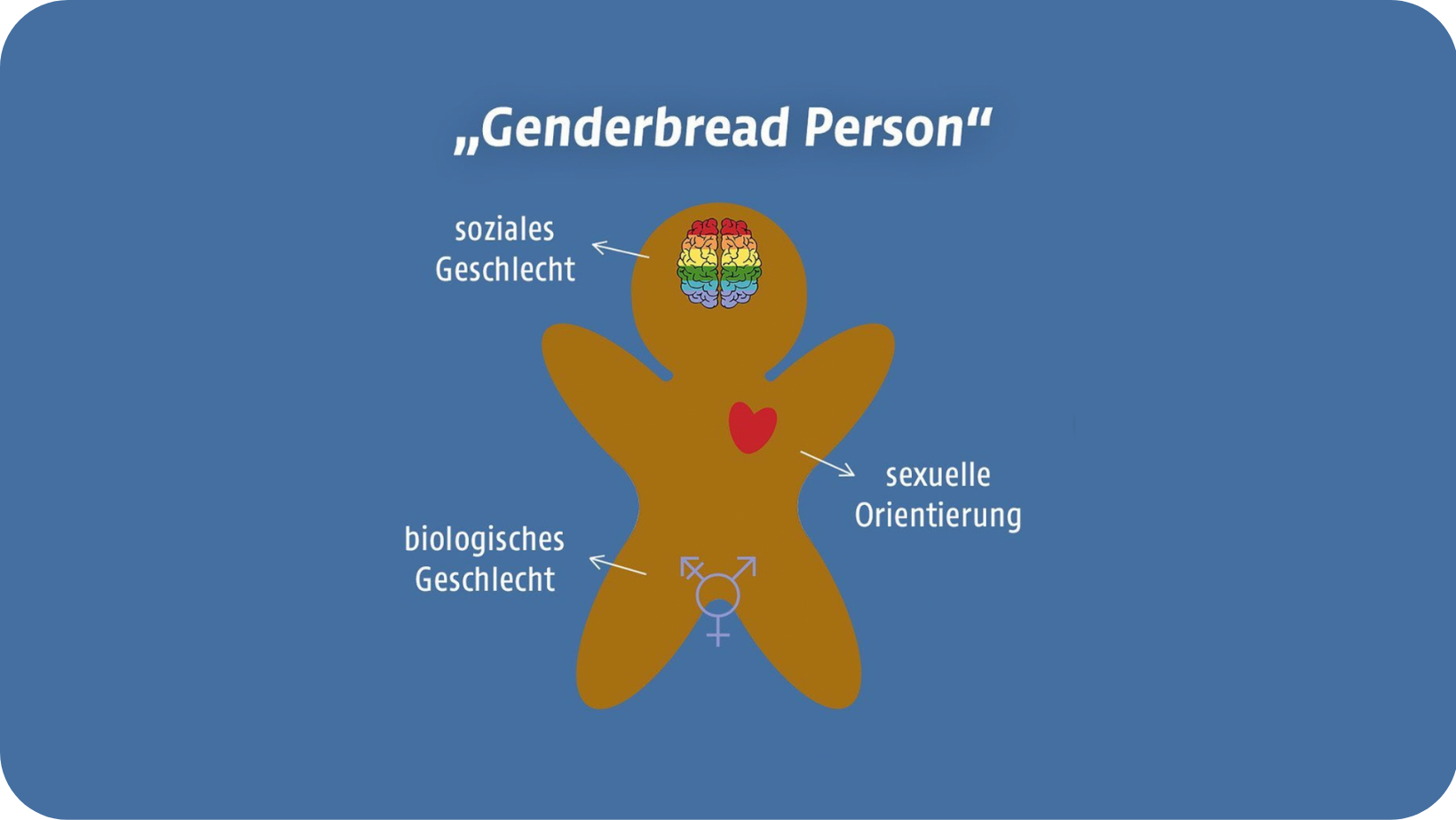 Genderbread person